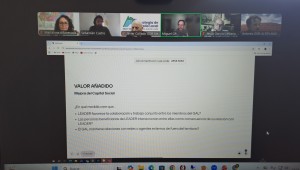 Grupo de discusión de evaluación de LEADER en el marco 2023-2027