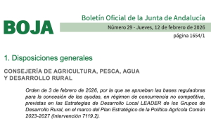 Bases reguladoras para la concesión de las ayudas